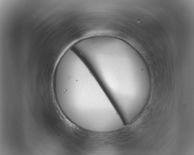 X0000062640912200601041054