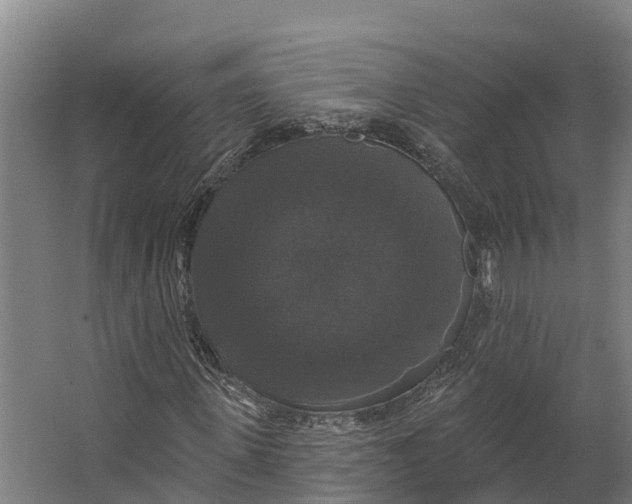 X0000062640915200601041053