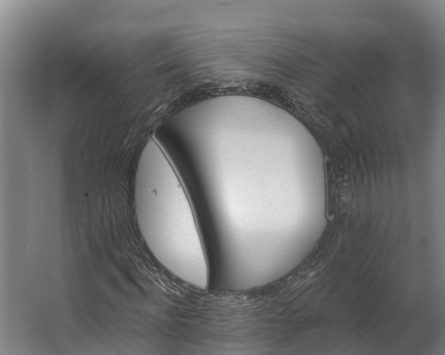 X0000062640916200601041053