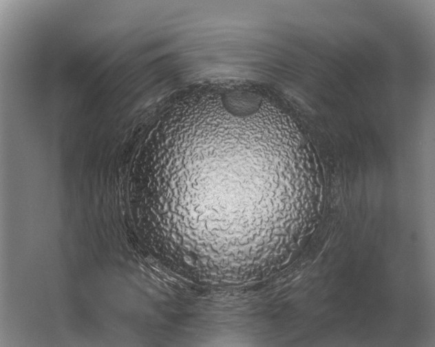 X0000062640917200601041053