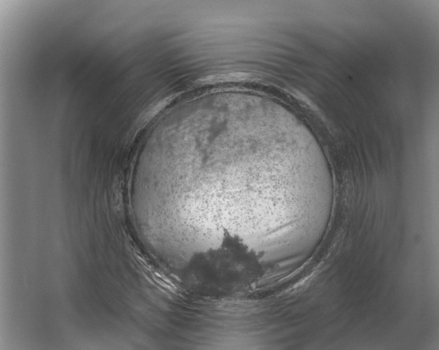 X0000062640921200601041053