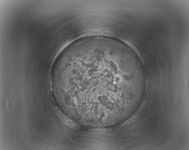 X0000062640925200601041053