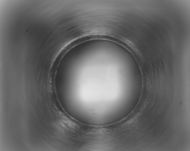 X0000062640926200601041053