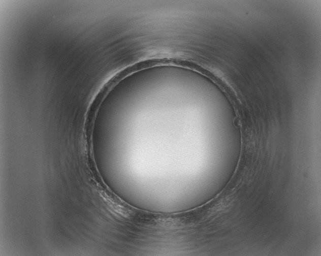 X0000062640927200601041053