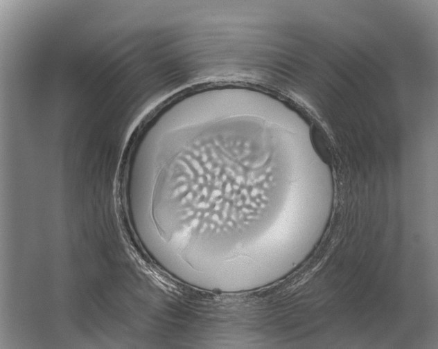 X0000062640928200601041053