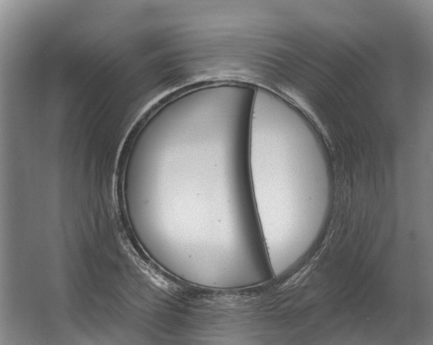 X0000062640932200601041053