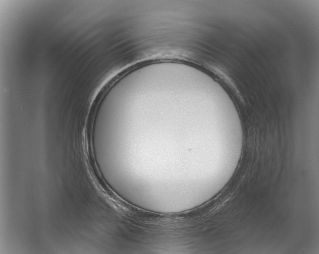 X0000062640936200601041053