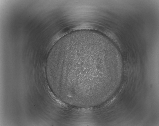 X0000062640937200601041053