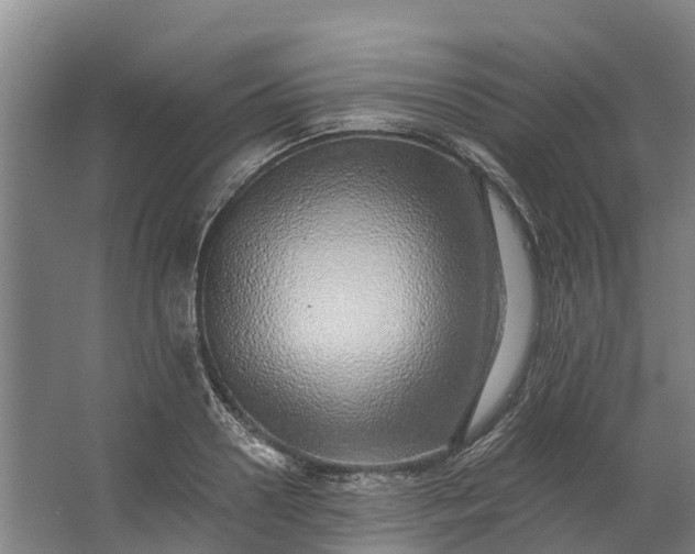 X0000062640938200601041053