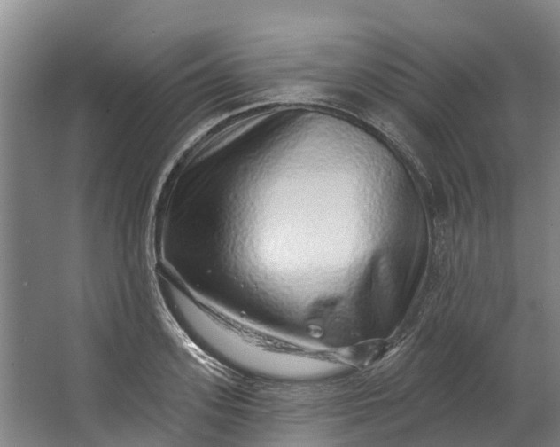 X0000062640939200601041053