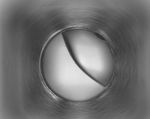 X0000062640940200601041053