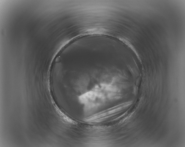 X0000062640941200601041053