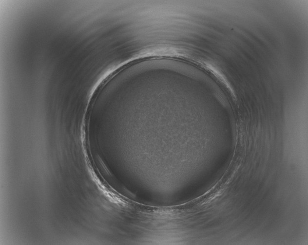 X0000062640944200601041053