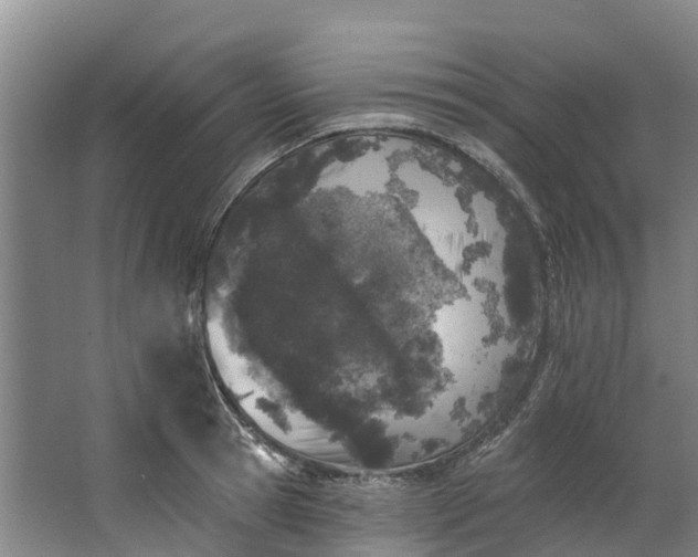 X0000062640945200601041053