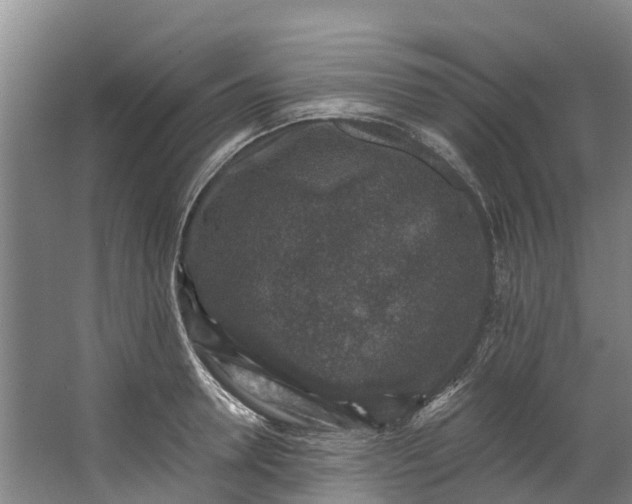 X0000062640946200601041053