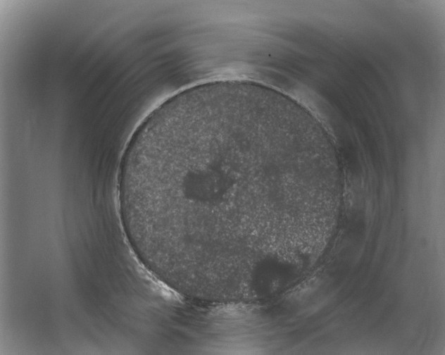 X0000062640950200601041053