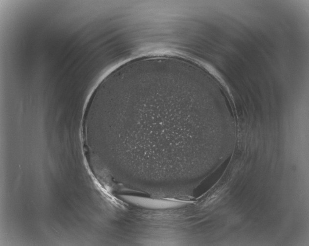 X0000062640951200601041053