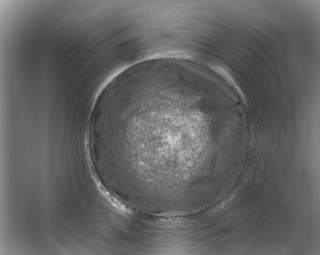 X0000062640952200601041053