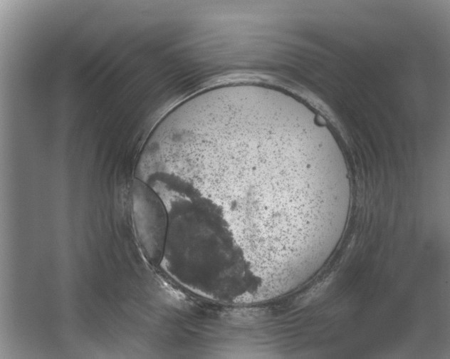 X0000062640953200601041053