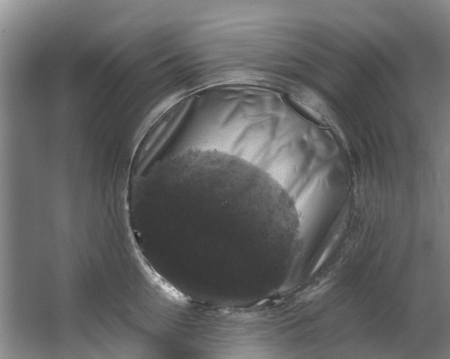 X0000062640954200601041053