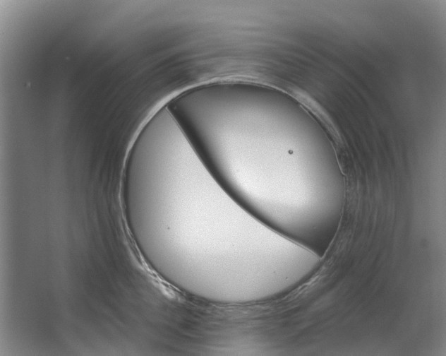 X0000062640956200601041054