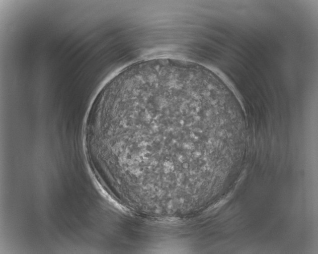 X0000062640957200601041054