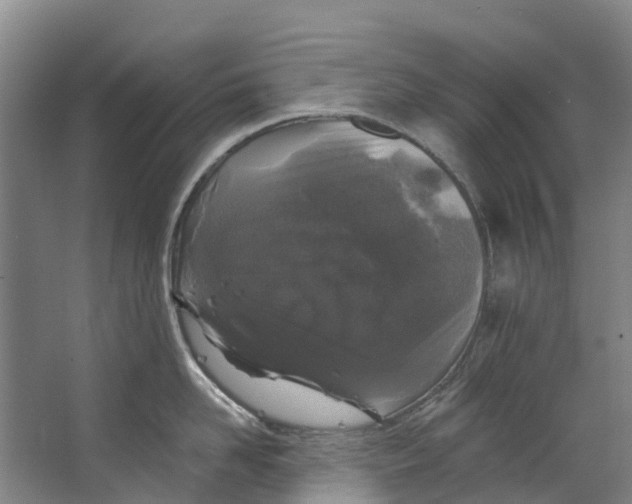 X0000062640958200601041054