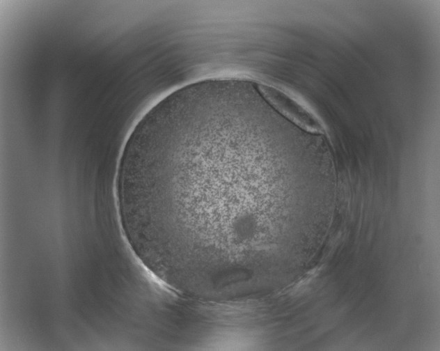 X0000062640959200601041054