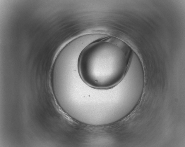 X0000062640960200601041054