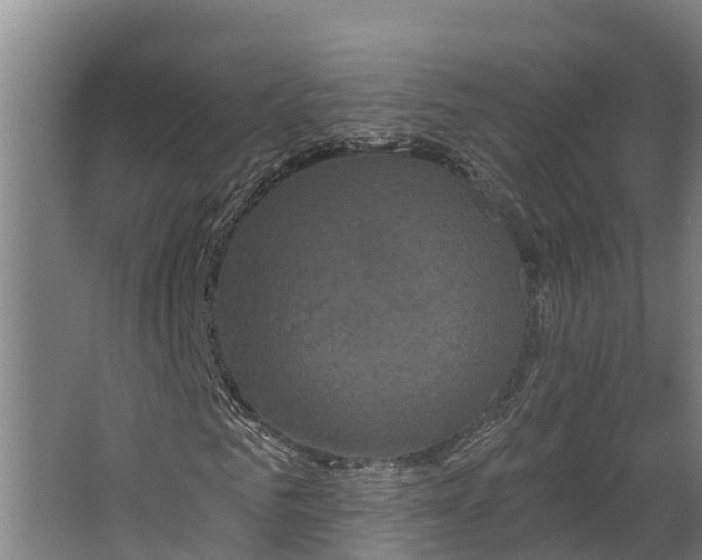 X0000062640961200601041053