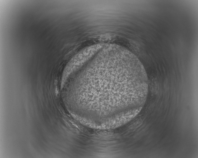 X0000062640962200601041053