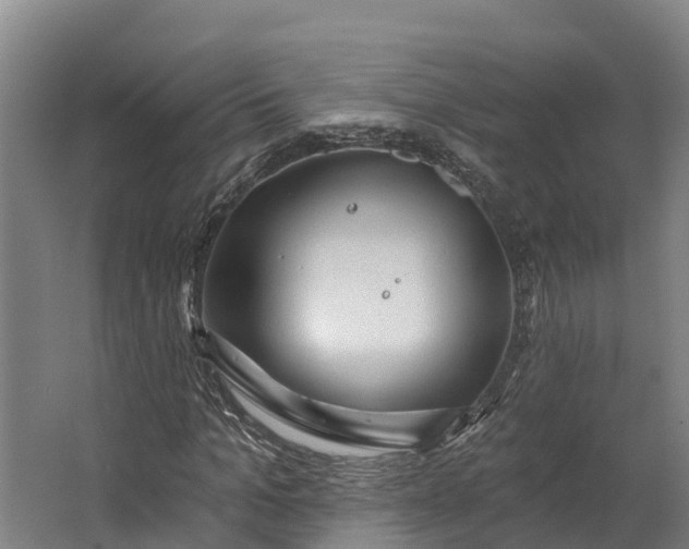 X0000062640965200601041053