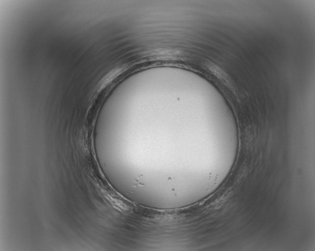 X0000062640970200601041053