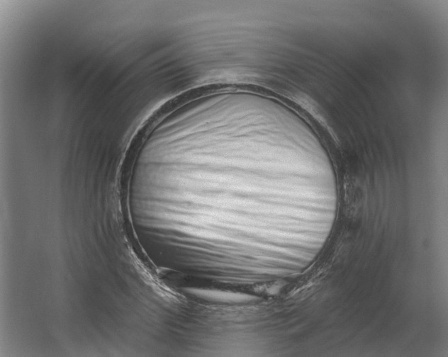 X0000062640972200601041053