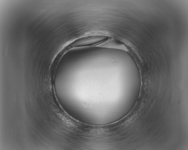 X0000062640973200601041053