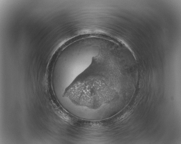 X0000062640975200601041053