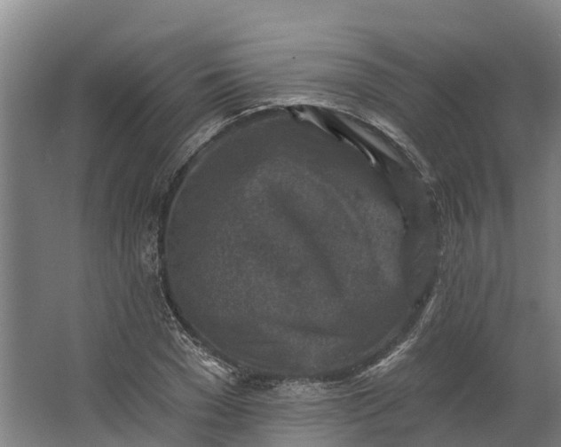 X0000062640977200601041053