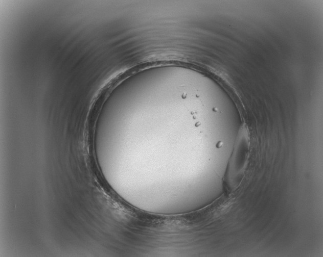 X0000062640979200601041052