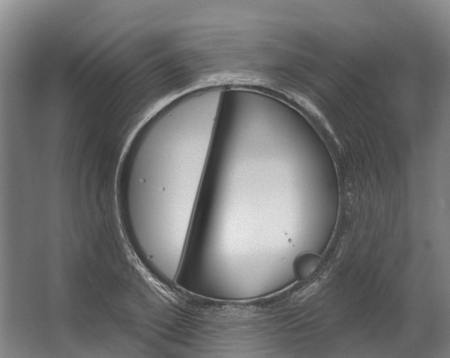 X0000062640981200601041052