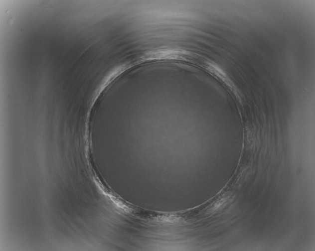 X0000062640994200601041052