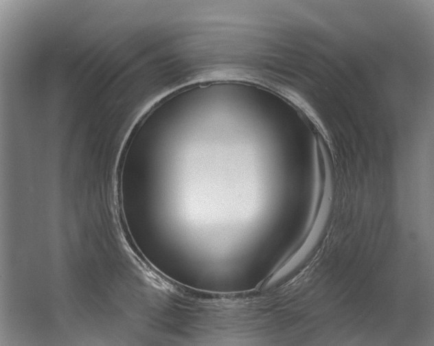 X0000062640996200601041052