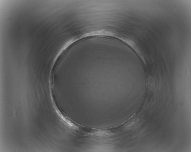 X0000062640998200601041052