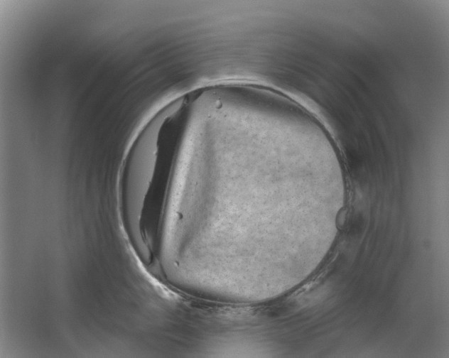 X0000062641006200601041052