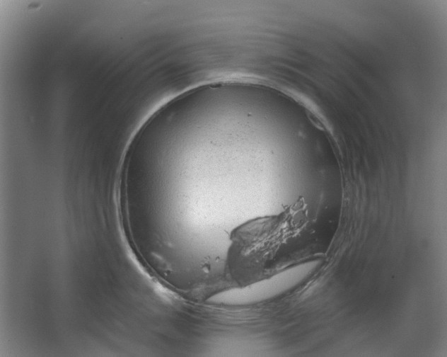 X0000062641007200601041052