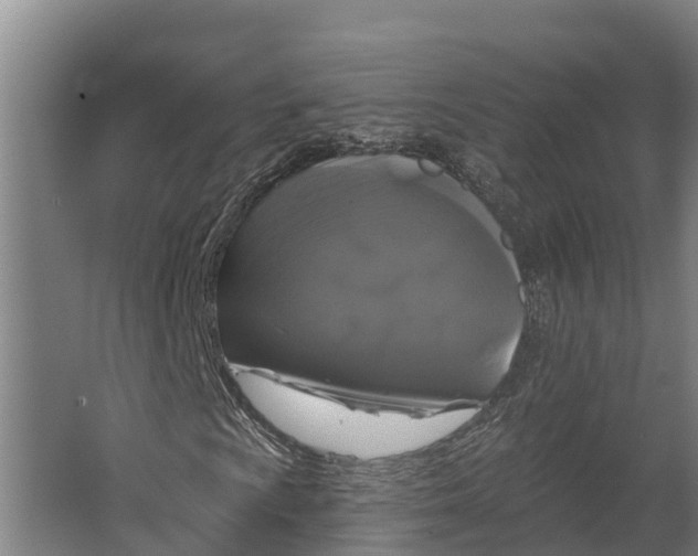 X0000062641009200601041051