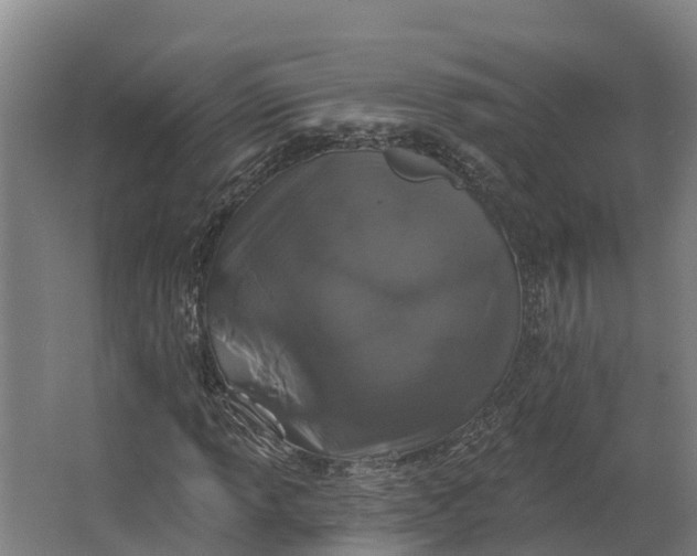 X0000062641013200601041051