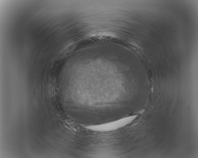 X0000062641014200601041051