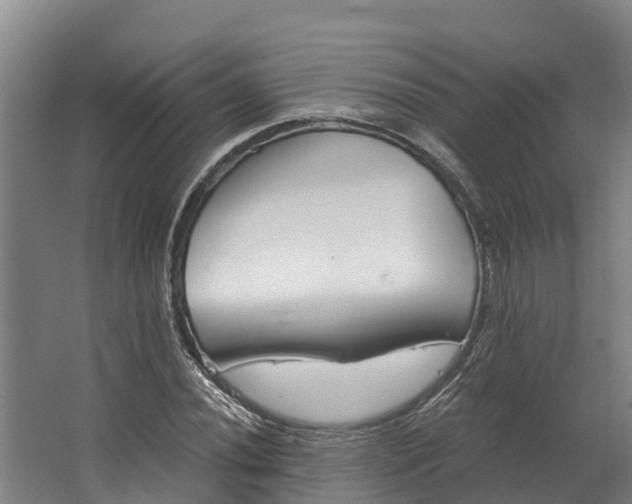 X0000062641020200601041051