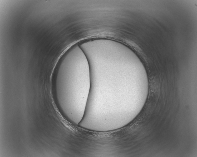 X0000062641031200601041052