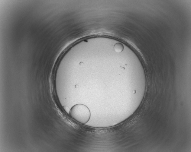 X0000062641032200601041052